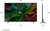 LG 65" 65QNED85A3C 4K UHD AI Smart QNED evo MiniLED TV