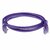 ACT CAT6A U-UTP Patch Cable 2m Purple - IB6602