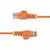 Startech - 1,5 m-es narancssárga vékony CAT6 Ethernet kábel - N6PAT150CMORS
