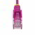 Startech - 2 m-es rózsaszín vékony CAT6 Ethernet kábel - N6PAT200CMPKS