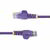Startech - 2,5 m-es lila vékony CAT6 Ethernet kábel - N6PAT250CMPLS