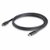 Startech - USB C dokkoló - DK30C2DAGPD