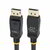Startech - 2 m-es (6,6 lábas) VESA minősítésű DisplayPort kábel - DISPL2M10PK