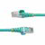 Startech - 7,5 m-es CAT6a Ethernet kábel - NLAQ-750-CAT6A-PATCH