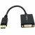 Startech - DisplayPort - DVI adapter - DP2DVI2