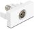 Delock Easy 45 Modul IEC anya - F anya fehér - 90844