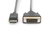 Assmann-DIGITUS DP - DVI-D 2m - DB-340301-020-S