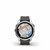 Garmin - fenix 7S Pro Solar Edition Silver with Graphite Band - 010-02776-01