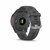 Garmin - Forerunner 255 Grey - 010-02641-10