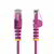 Startech - 50 cm-es rózsaszín vékony CAT6 Ethernet kábel - N6PAT50CMPKS
