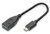 DIGITUS - USB-C - USB-A adapter / átalakító, OTG, 0,15 m - AK-300315-001-S