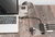 DIGITUS - USB 3.0 Hub 4 portos, Slim Line - DA-70235