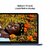 Apple MacBook Neo 13" (2026) Indigo