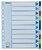 Regiszter, műanyag, A4 Maxi, 10 részes, ESSELTE