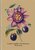 Spirálfüzet, A5, sima, 96 lap, SHKOLYARYK "We Grow", vegyes