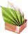 Origami papír, 15x15 cm, 80 g, 50 lap, FOLIA "Tropical", 10 különböző minta, (50 lap)
