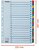Regiszter, karton, A4, 1-20, ESSELTE "Mylar"