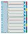 Regiszter, laminált karton, A4 Maxi, 1-10, újraírható, ESSELTE