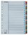 Regiszter, karton, A4, 1-31, ESSELTE "Mylar"