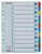 Regiszter, karton, A4, 1-12, ESSELTE "Mylar"