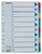 Regiszter, karton, A4, 1-10, ESSELTE "Mylar"