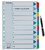 Regiszter, karton, A4, 1-10, ESSELTE "Mylar"