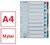 Regiszter, karton, A4, 1-10, ESSELTE "Mylar"