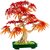 LEGO® Botanicals Vöröslevelű japán juhar bonsai, növénydekoráció 10348