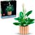 LEGO® Botanicals Vitorlavirág, virágdekoráció 11504