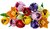 LEGO® Botanicals Tulipáncsokor dekoráció 11501