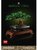 LEGO® Botanicals Bonsai fa 10281