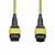 Startech - 10 m MTP®/MPO optikai kábel, 12F A típusú, OS2 egymódusú MTP/APC női optikai patch kábel, 9/125 - OS2MTP12AOFNP10M
