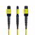 Startech - 5m MTP®/MPO optikai kábel, 12F A típusú, OS2 egymódusú MTP/APC optikai patch kábel anya, 9/125µm - OS2MTP12AOFNP5M