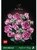 LEGO® Botanicals Rózsaszín rózsacsokor, dekoratív virágok 10374