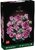 LEGO® Botanicals Rózsaszín rózsacsokor, dekoratív virágok 10374