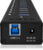Raidsonic ICY BOX - IB-AC6110 10 Port USB 3.0 Hub