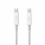 Apple Thunderbolt Cable 50cm - MD862ZM/A